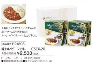 活動資金集め物販　味わいビーフカレー CSEX-20　九州味市場